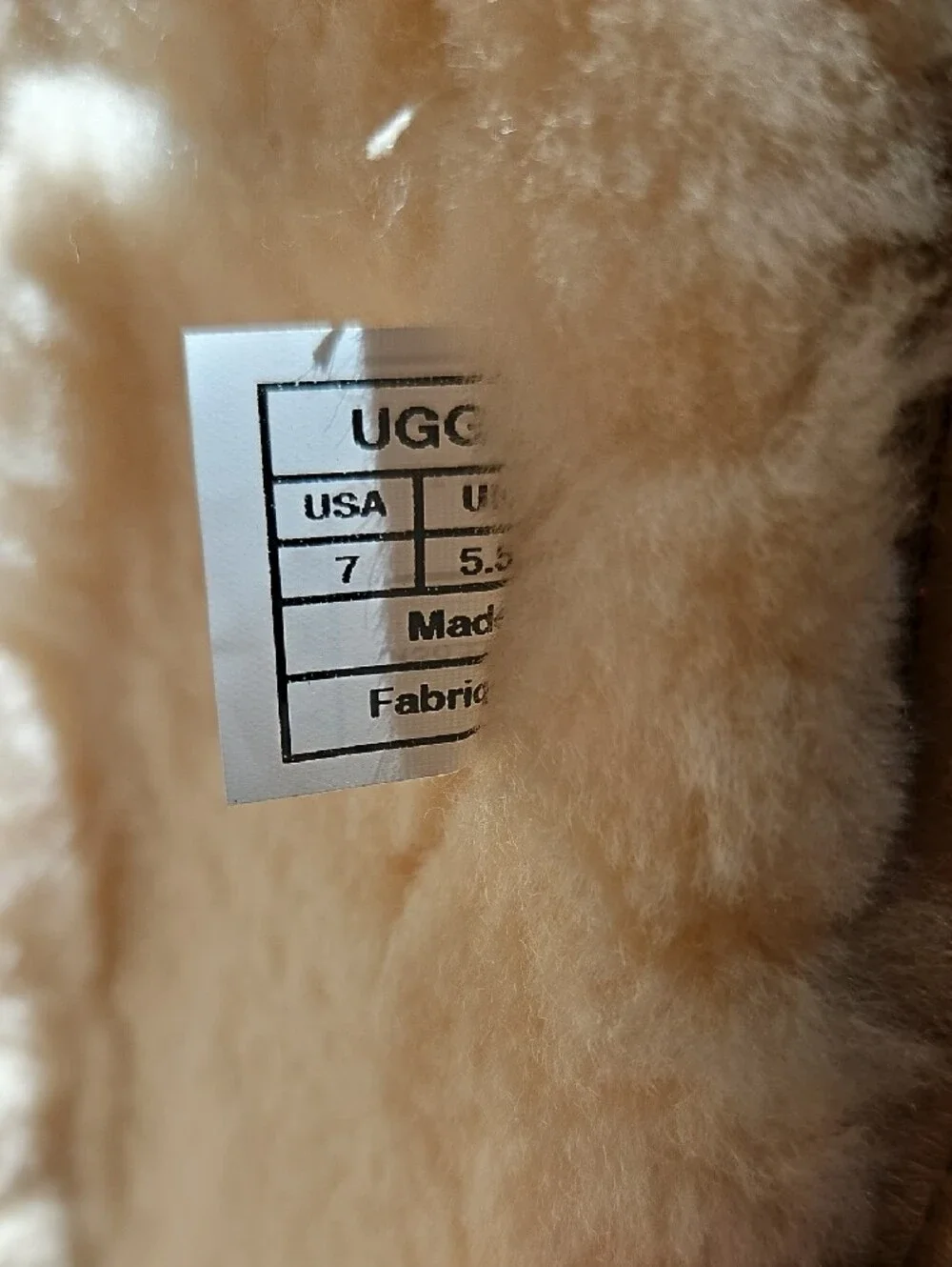 UGG tall suede
